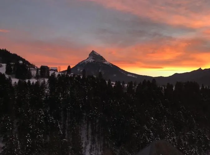 Nid Douillet 2ou4 P A St Pierre De Chartreuse * Saint-Pierre-de-Chartreuse